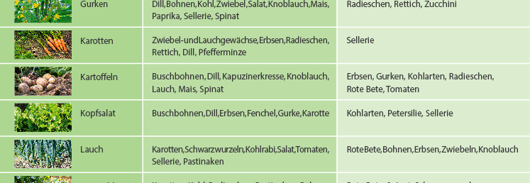Tabelle mit Mischkultur für Gemüse